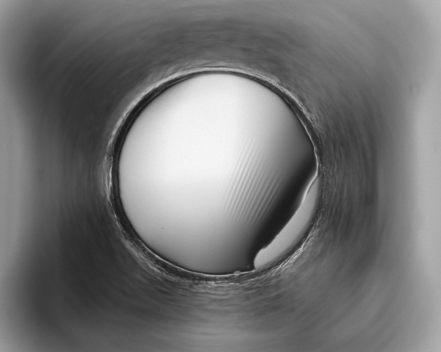 X0000095931511200802011011