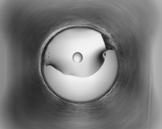 X0000095931512200802011011