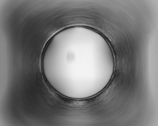 X0000095931513200802011011