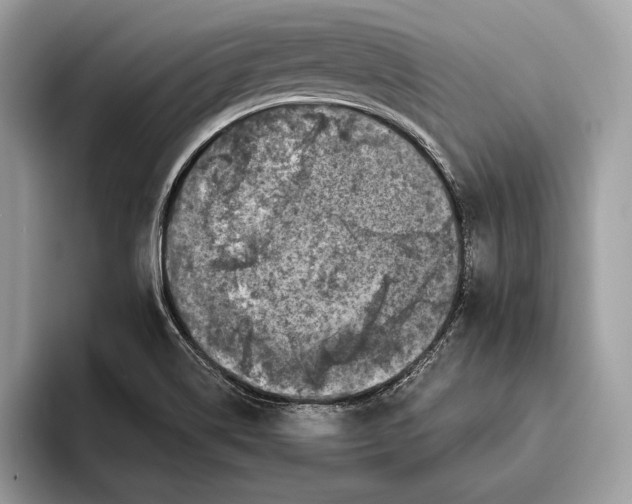 X0000095931514200802011011