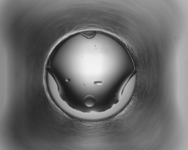 X0000095931518200802011011