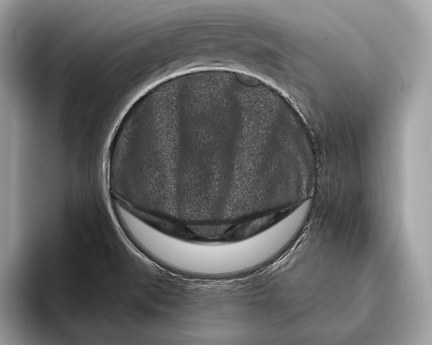 X0000095931519200802011011