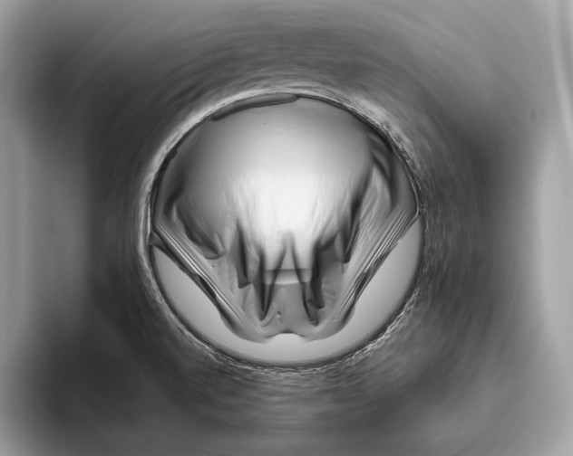 X0000095931520200802011011
