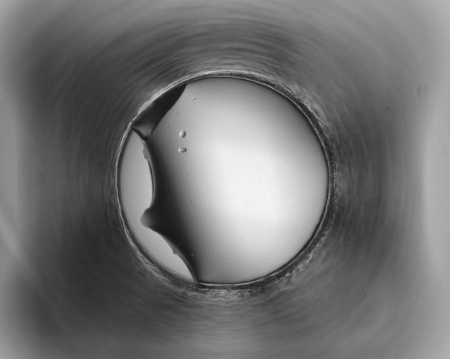 X0000095931521200802011011