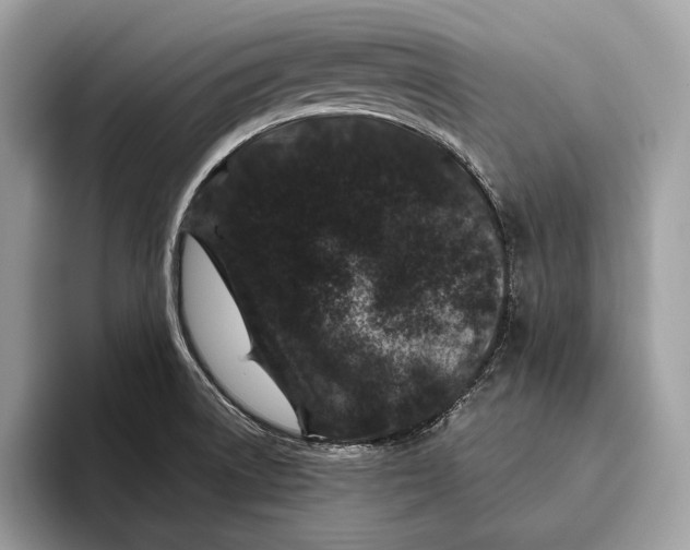X0000095931522200802011011