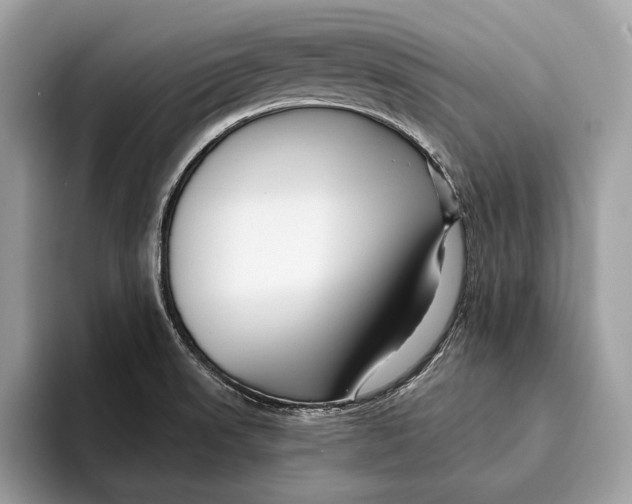 X0000095931523200802011011