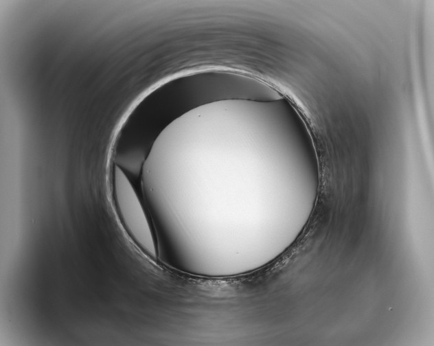 X0000095931524200802011011