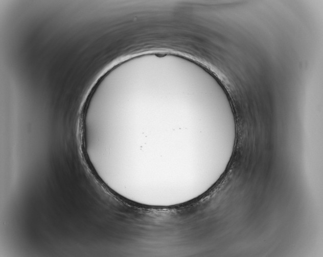 X0000095931526200802011011
