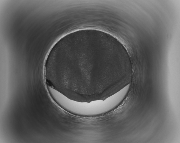 X0000095931527200802011011