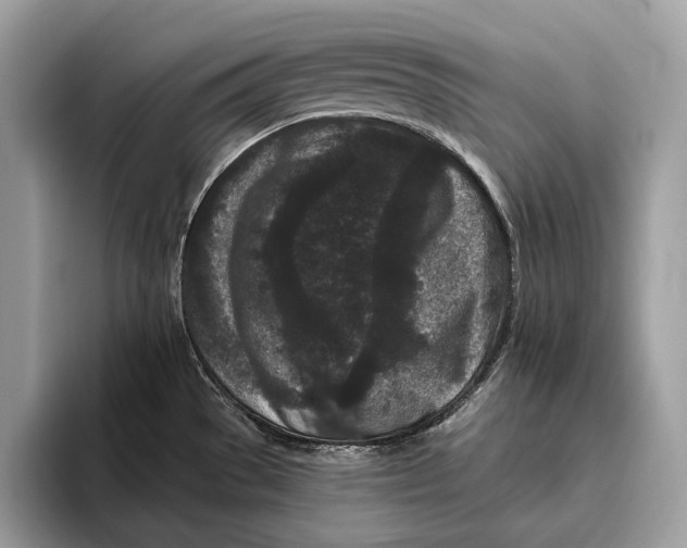 X0000095931529200802011011