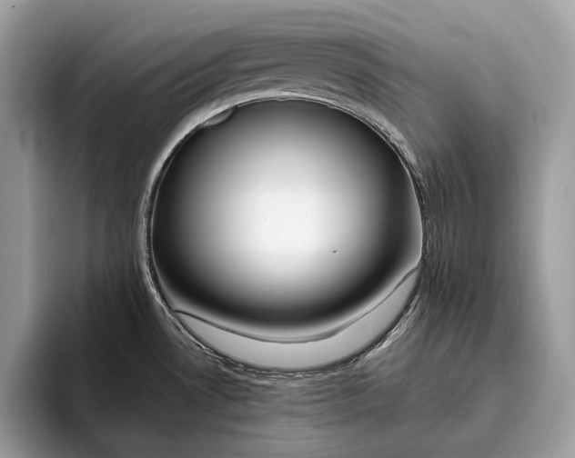 X0000095931530200802011011