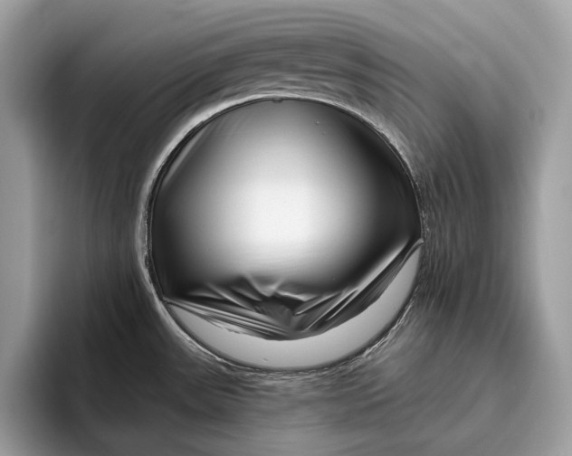X0000095931531200802011011