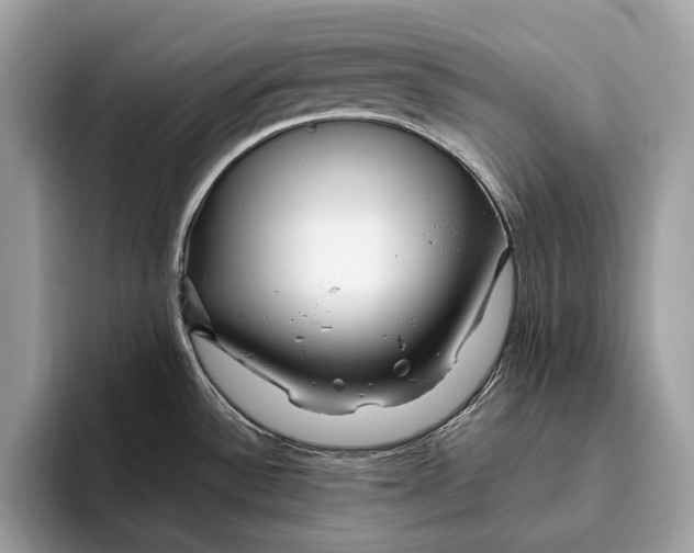 X0000095931532200802011011