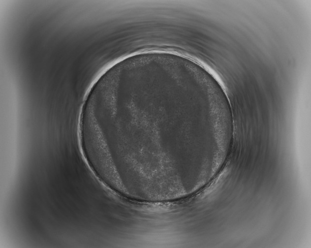 X0000095931533200802011011
