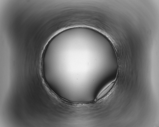 X0000095931534200802011011