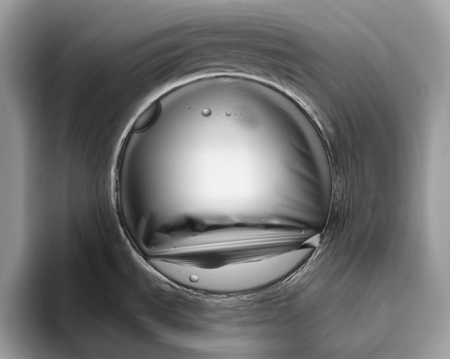 X0000095931535200802011011