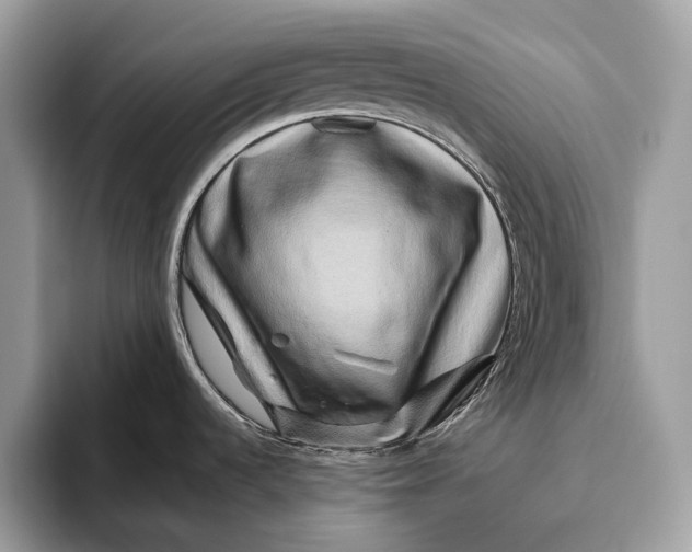 X0000095931536200802011011