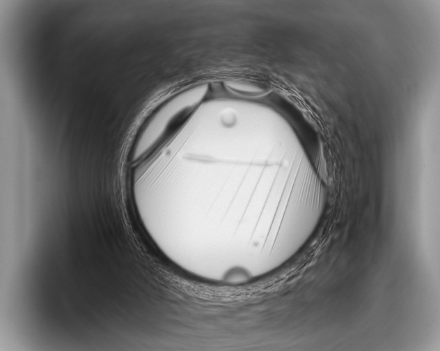 X0000095930006200802081226