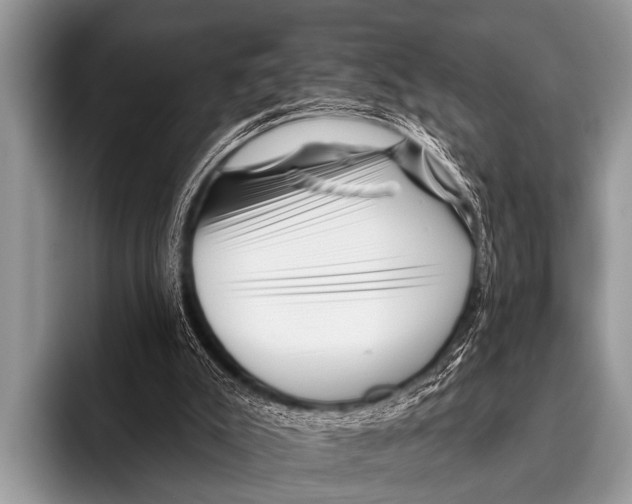 X0000095930007200802081226