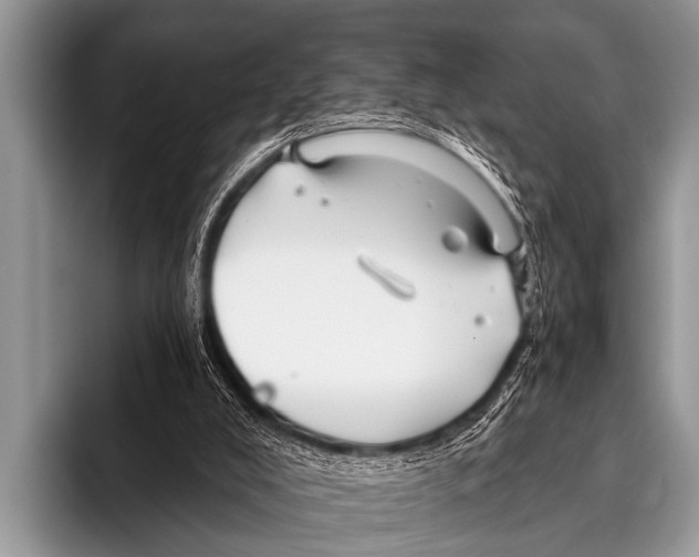 X0000095930008200802081226