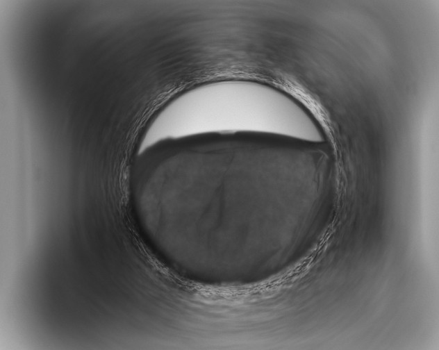 X0000095930009200802081226
