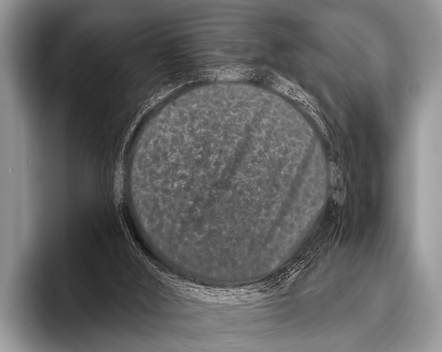 X0000095930012200802081226