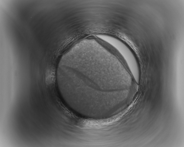 X0000095930017200802081226