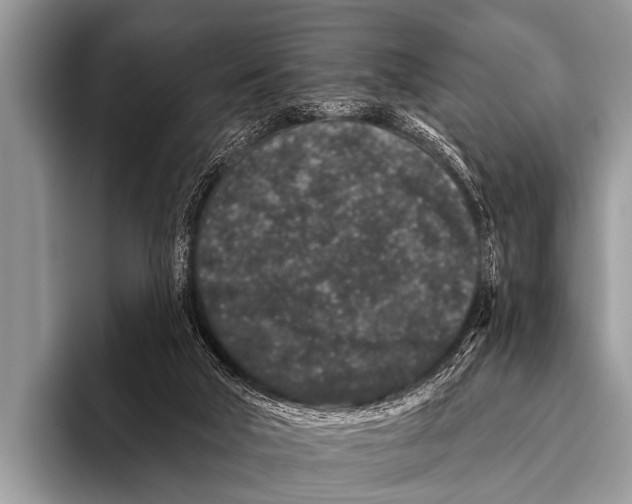 X0000095930018200802081226