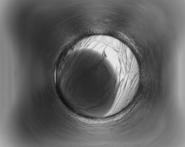 X0000095930019200802081226