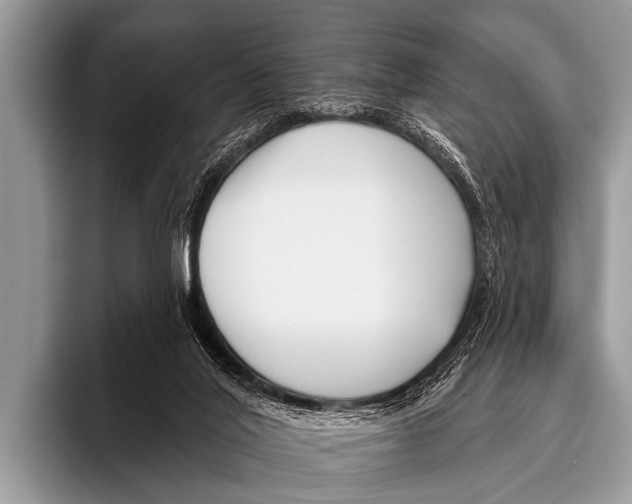 X0000095930020200802081226
