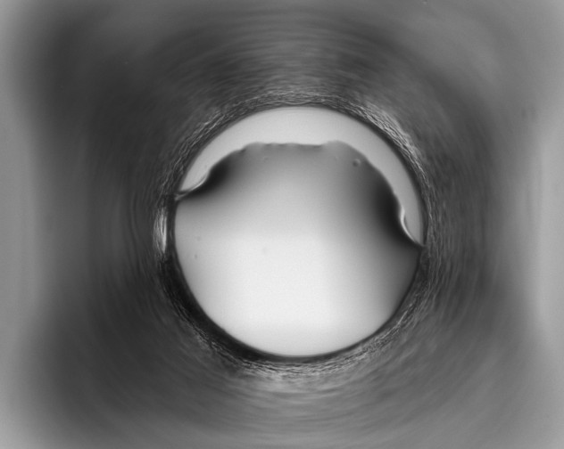 X0000095930021200802081226