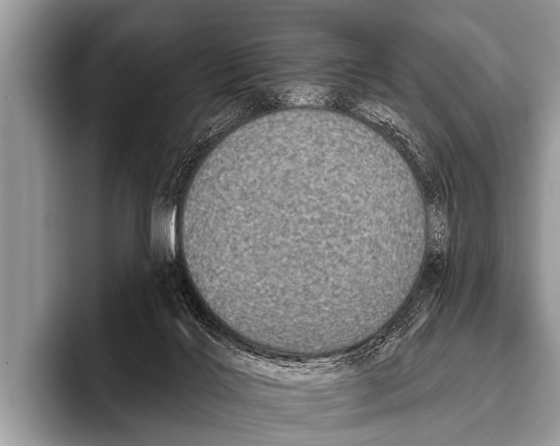 X0000095930028200802081226