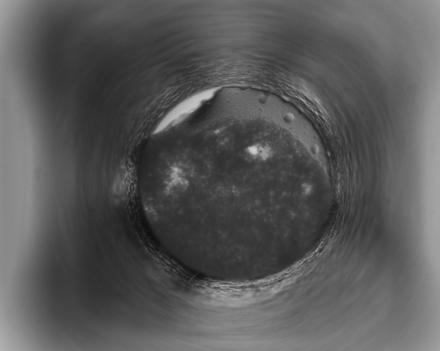 X0000095930029200802081226