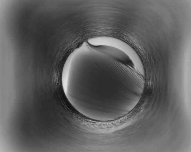 X0000095930031200802081226