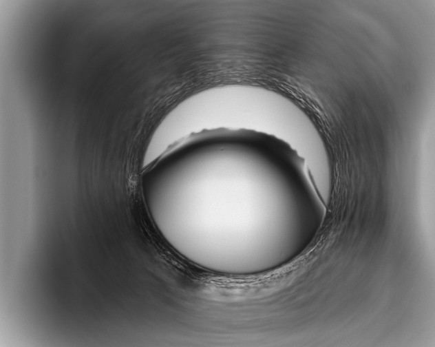 X0000095930033200802081226