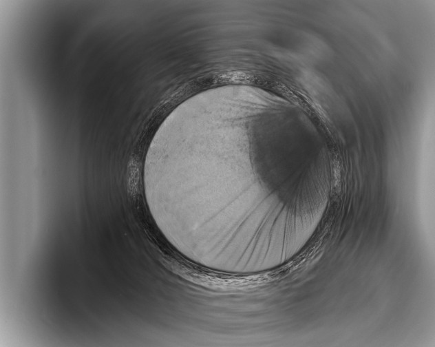 X0000095930036200802081226