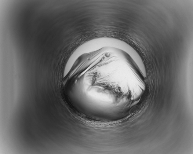 X0000095930040200802081226