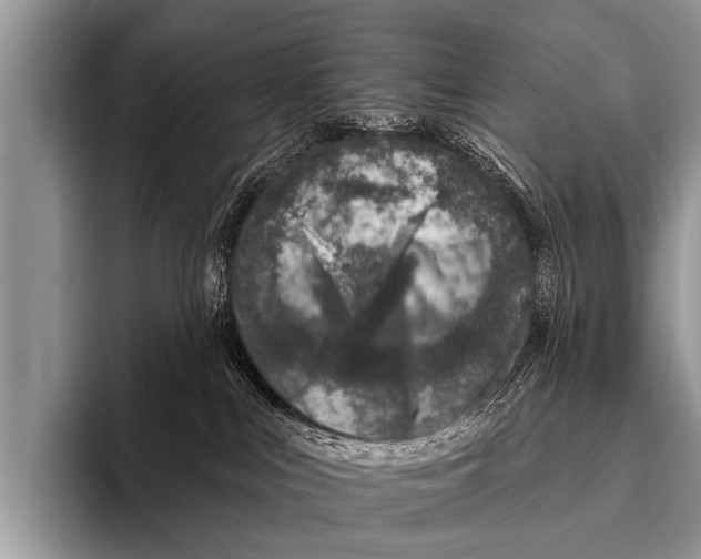 X0000095930043200802081226