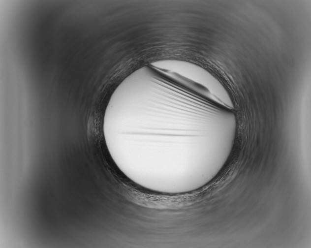 X0000095930044200802081226