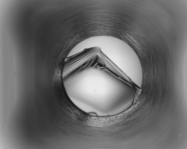 X0000095930045200802081226