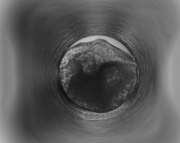 X0000095930048200802081226