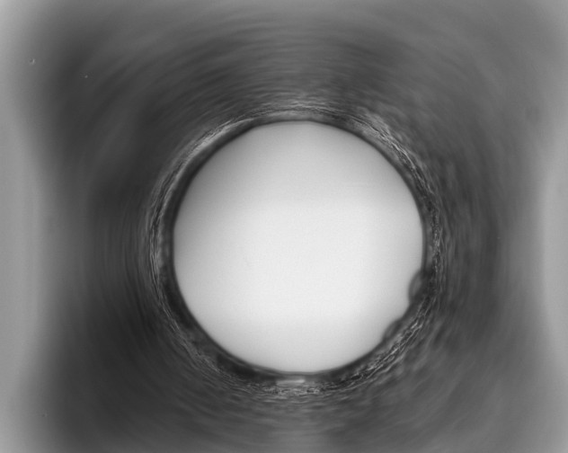 X0000095930050200802081225