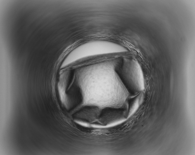 X0000095930051200802081225