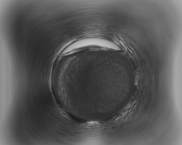 X0000095930052200802081225