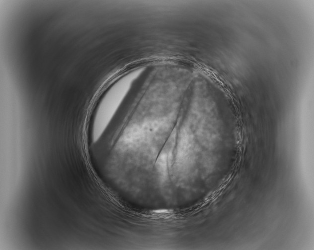 X0000095930053200802081225