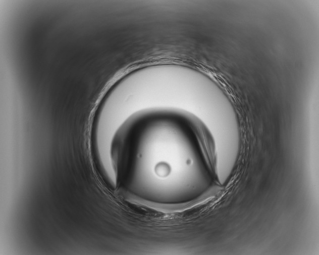 X0000095930056200802081225