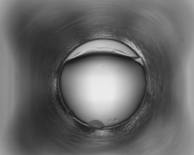X0000095930057200802081225