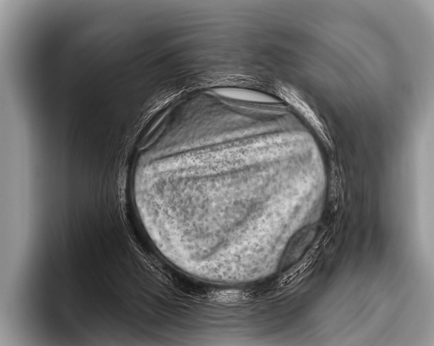 X0000095930058200802081225