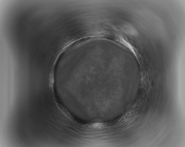 X0000095930059200802081225