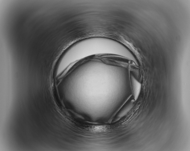 X0000095930060200802081225